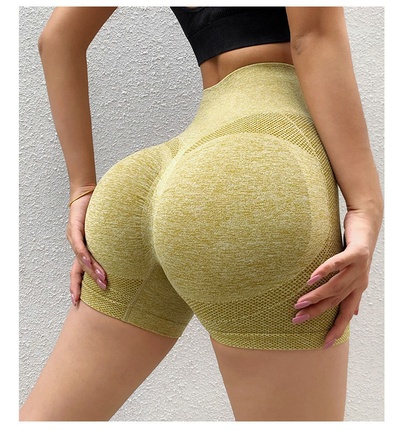 Women's Sports Solid Color Nylon Quick Dry High Waist Active Bottoms Leggings