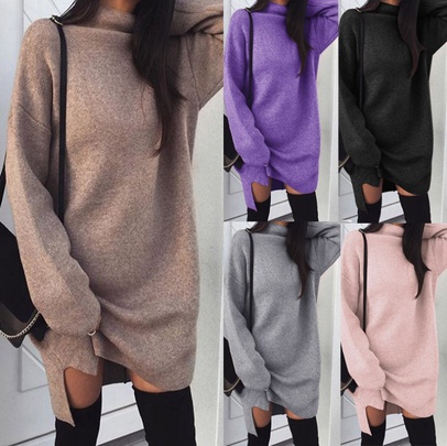 Women's Hoodie Long Sleeve Regular Sleeve Hoodies & Sweatshirts Turtleneck Slit Casual Solid Color Regular Fit