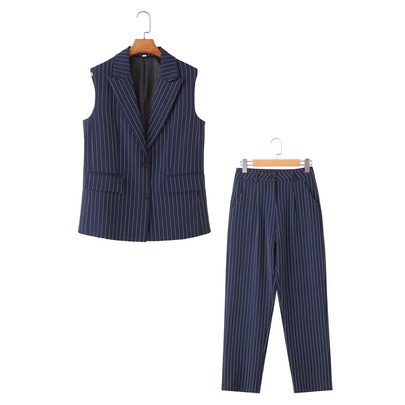 Business Outdoor Daily Women's British Style Stripe Polyester Zipper Pants Sets Pants Sets